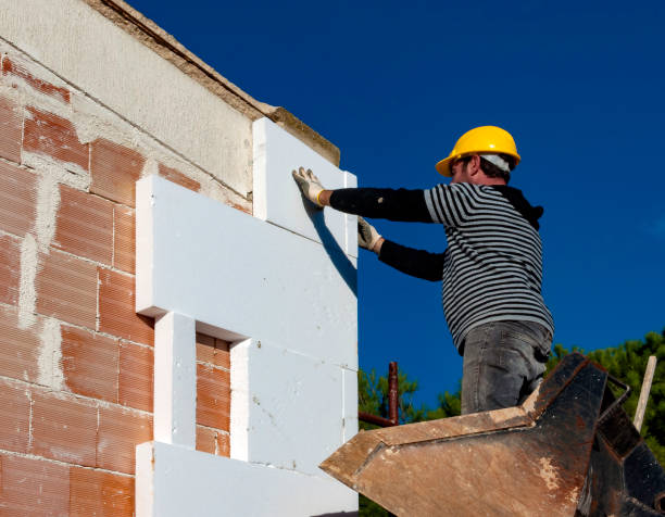 Best Spray Foam Insulation in St Jaco, IL
