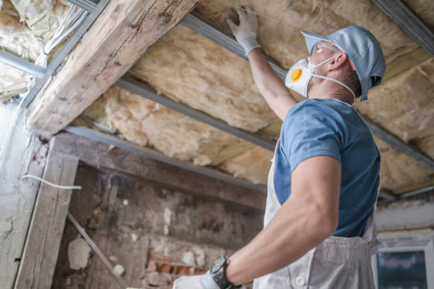 Best Cellulose Insulation in St Jaco, IL