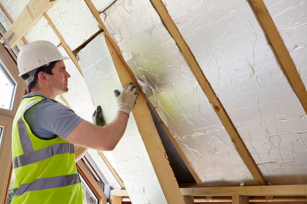 Best Eco-Friendly Insulation in St Jaco, IL